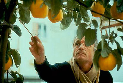 Antonio López en extriores pintando el cuadro del sol del Membrillo